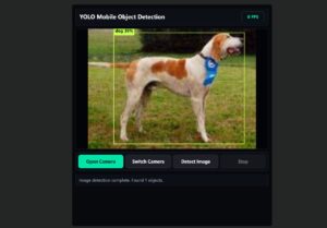 YOLO Demo on Static Webpage